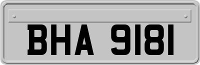BHA9181
