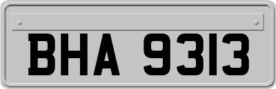 BHA9313