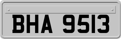 BHA9513