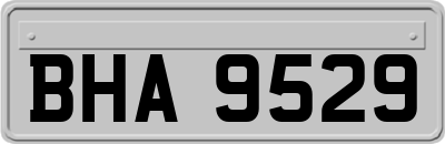 BHA9529