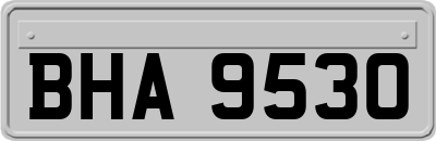 BHA9530