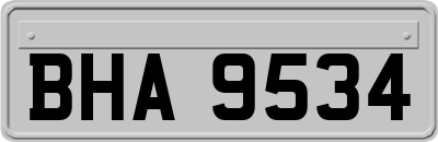 BHA9534