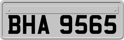BHA9565