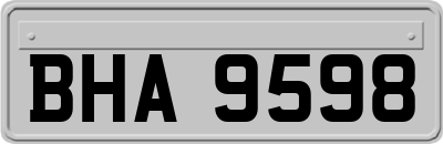 BHA9598