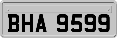 BHA9599