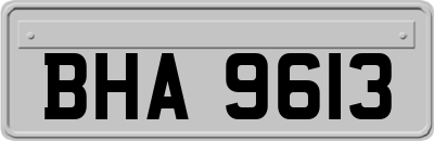 BHA9613