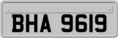 BHA9619