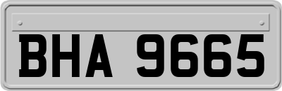 BHA9665