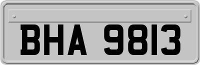 BHA9813