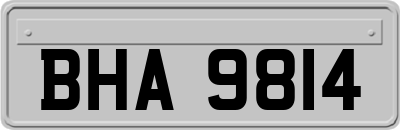 BHA9814