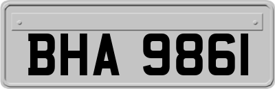 BHA9861
