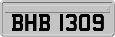 BHB1309