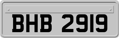 BHB2919