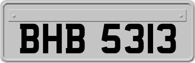 BHB5313