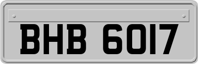 BHB6017