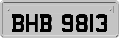 BHB9813