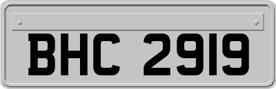 BHC2919