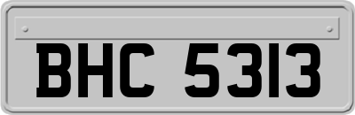 BHC5313