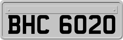 BHC6020