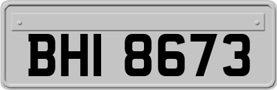 BHI8673