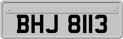 BHJ8113