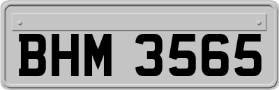 BHM3565
