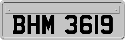 BHM3619