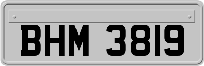 BHM3819