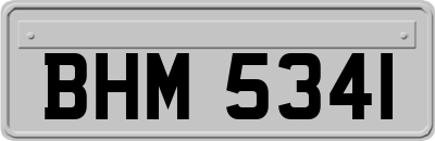 BHM5341