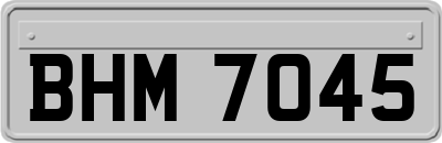 BHM7045