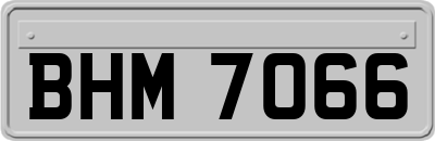 BHM7066
