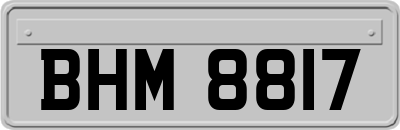 BHM8817