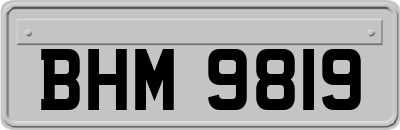 BHM9819