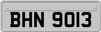BHN9013