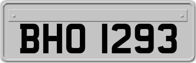 BHO1293