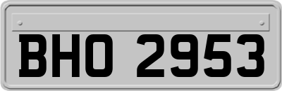 BHO2953