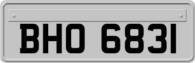 BHO6831