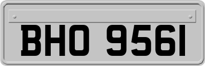 BHO9561
