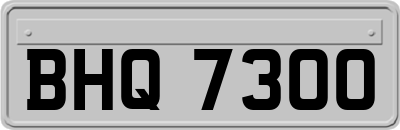 BHQ7300