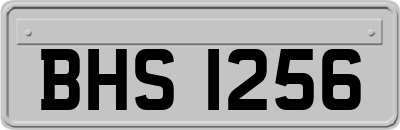 BHS1256