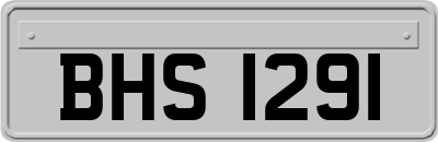 BHS1291