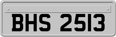 BHS2513