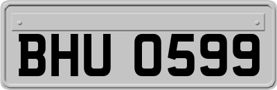 BHU0599