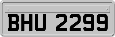BHU2299