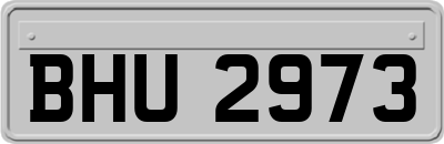 BHU2973