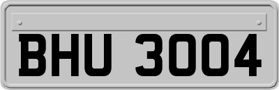 BHU3004