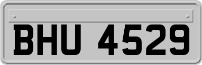 BHU4529