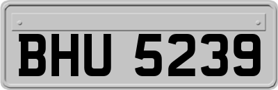 BHU5239