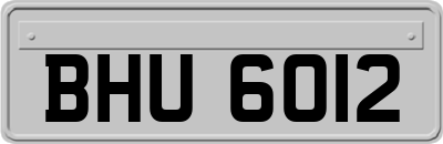 BHU6012