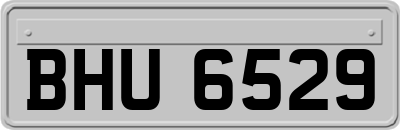 BHU6529